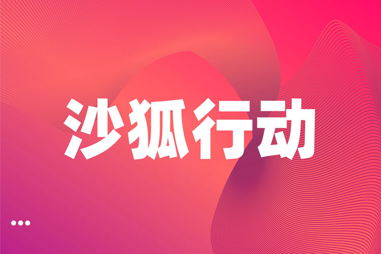 沙狐行動(dòng)