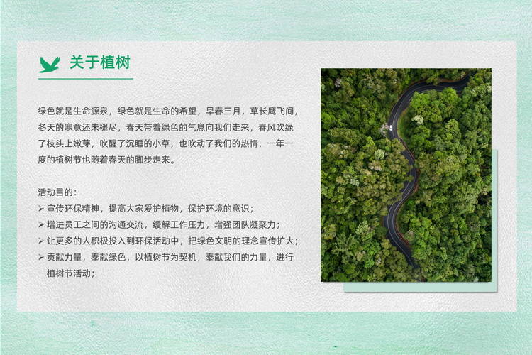 稿空挑戰(zhàn)團(tuán)建項(xiàng)目植樹活動(dòng)方案2