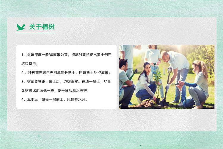 稿空挑戰(zhàn)團(tuán)建項(xiàng)目植樹活動(dòng)方案4