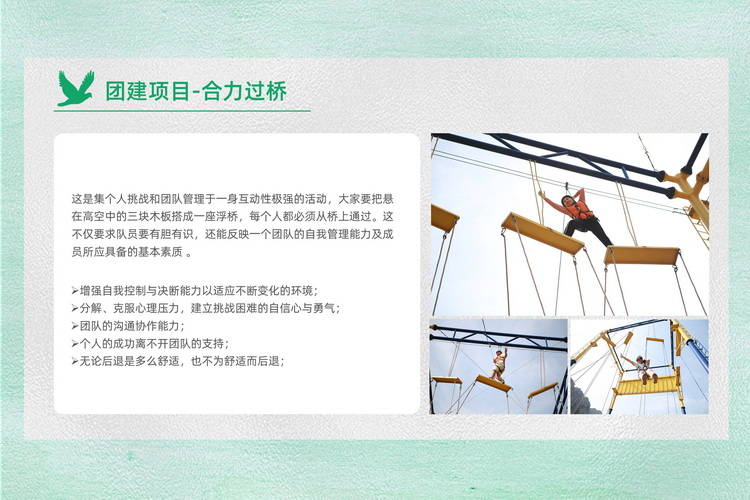 稿空挑戰(zhàn)團(tuán)建項(xiàng)目植樹活動(dòng)方案7
